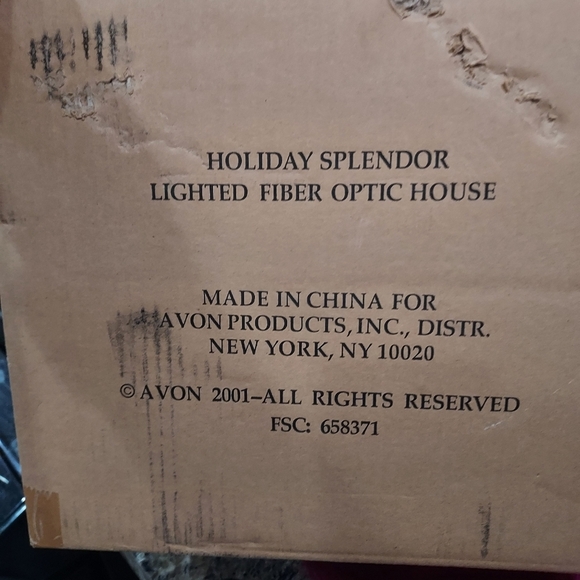 Holiday fiber optic house - Picture 7 of 10